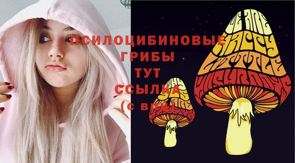 меф Армянск