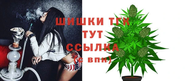 прущие крисы Арсеньев