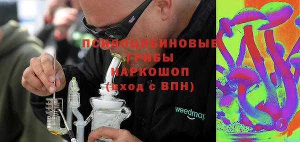 прущие крисы Арсеньев